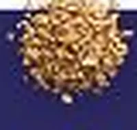 GABA