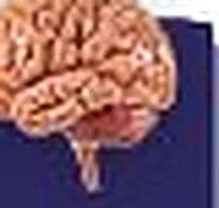 Melatonin and the brain